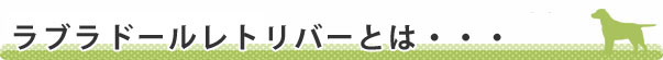 ラブラドールレトリバーとは