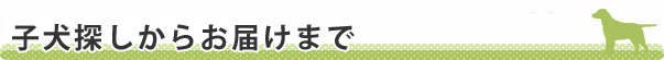 子犬探しからお届けまで
