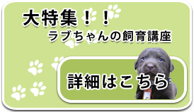 大特集ラブちゃんの飼育講座。