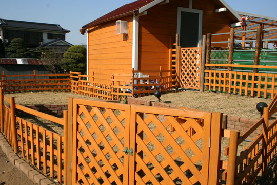 子犬グラウンド